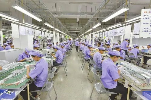 女工成長觀察 從謀生到逐夢的網(wǎng)絡(luò)技術(shù)研發(fā)之路